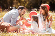 © ivanko80 - Young family with kid having picnic outdoors.