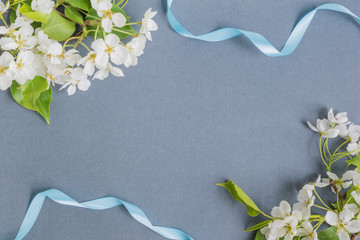 White spring flowers on a dark background