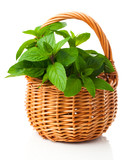 Fototapeta Kwiaty - fresh mint in a wicker basket, on a white background
