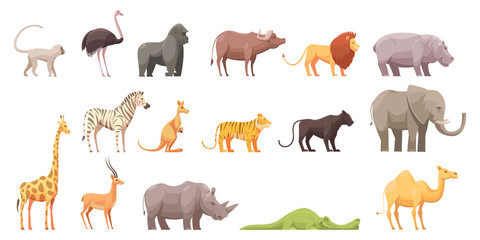 wild tropical animals set