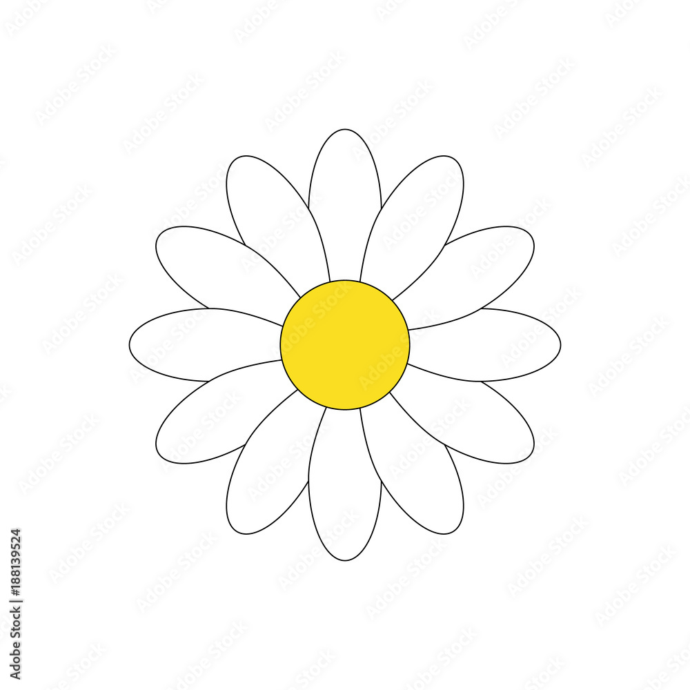 Simple white daisy flower vector illustration graphic, isolated on ...