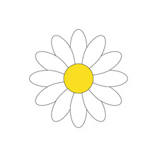 Simple White Daisy Flower Vector Illustration Graphic, Isolated On White Background.
