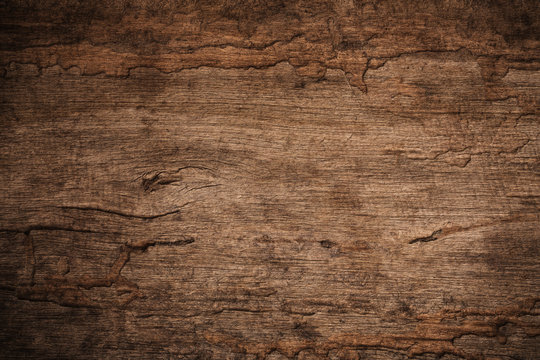 wood decay with wood termites , old grunge dark textured wooden background , the surface of the old 