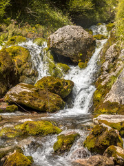 Poster - Soca river spring