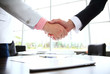 © opolja - Business people shaking hands, finishing up a meeting.