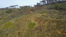 San Diego - Torrey Pines State Natural Reserve Park - Drone Video - Areal Video Of Torrey Pines State Natural Reserve Is 2,000 Acres Of Coastal State Park Located In The Community Of La Jolla.