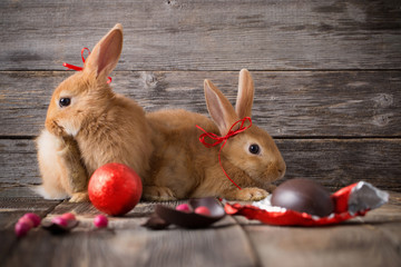 two rabbits with chocolate eggs on old wooden background