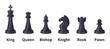 Vector set of chess icons set isolate on white