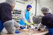 © pressmaster - Group of seafood processing staff working with fresh sardines in plant