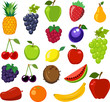 Set of fruit vector illustration
