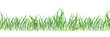 Leinwandbild Motiv Fresh green grass - seamless pattern. Watercolor hand drawn painting illustration isolated on a white background. Summer grassy element for design, nature landscape. Organic, bio, eco label and shape.