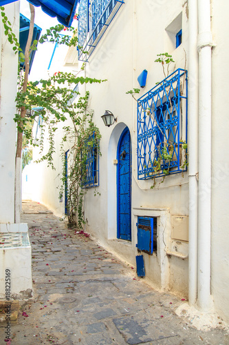bialo-niebieskie-miasto-sidi-bou-said-tunezja