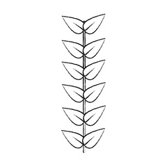  leaves with stem icon image vector illustration design  black sk