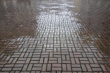 Poster - Schönes altes Backsteinpflaster im Regen