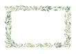 Hand drawn watercolor illustration. Botanical rectangular border with green branches and leaves. Spring mood. Floral Design elements. Perfect for invitations, greeting cards, prints, posters
