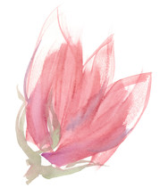 Abstract Pastel Pink Flower With Big Petals Painted In Watercolor On Clean White Background