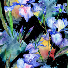  Wildflower iris  flower pattern in a watercolor style. Full name of the plant: iris. Aquarelle wild flower for background, texture, wrapper pattern, frame or border.