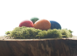 Easter wooden block with green moos and colorful easter eggs