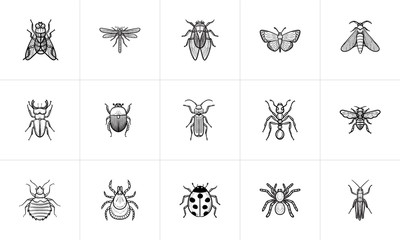 Wall Mural - Insects sketch icon set for web, mobile and infographics. Hand drawn Insects vector icon set isolated on white background.