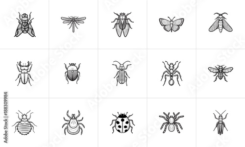 Photographie Insects sketch icon set for web, mobile and infographics