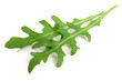 Green fresh rucola or arugula leaf isolated on white background macro