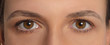 Symmetrical women's eyes . Symmetric macro mirrored two deep human eyes. Close-up brown eyes of European person.