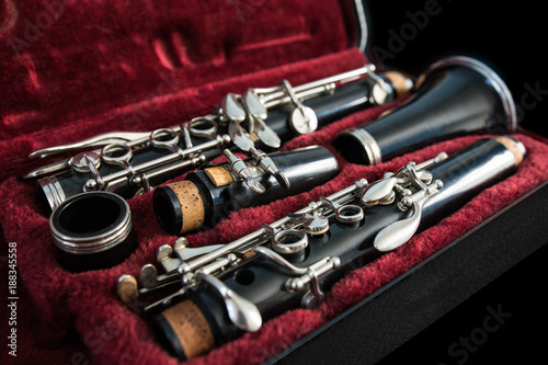 Cuadros en Lienzo Disassembled clarinet in its case