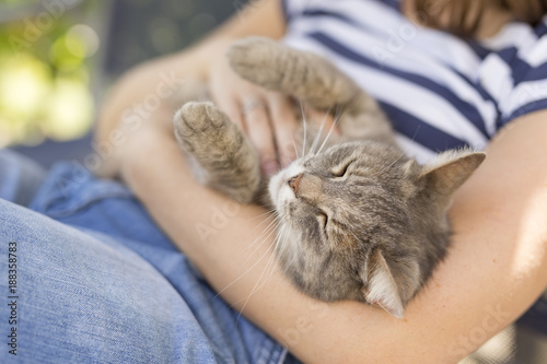 Fotomural Pet cat enjoying the cuddling