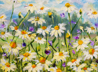 Wall Mural - Original oil painting of white daisies flowers, beautiful field flowers on canvas. Modern Impressionism. Palette knife Impasto artwork.