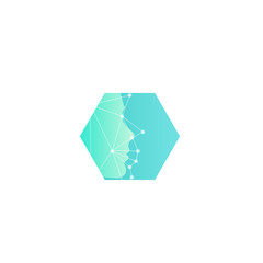 Poster - Research of human mimics, new technologies of the future abstract vector logo template. Face Scan with Grid. Turquoise hexagon shape.