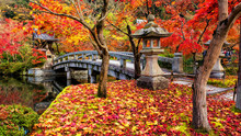 Eikando Zenrinji Fall Garden, Kyoto