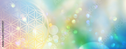 Banner Blume des Lebens in einem Lichtermeer aus Regenbogenfarben Wallpaper Mural