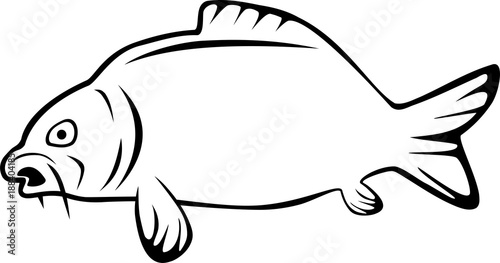Karpfen Fisch Tier Logo Label Angeln Stock Vector Adobe Stock