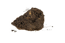 Clump Of Earth On White Background