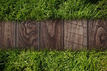 Poster - Composite image of line running through the grass