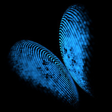 Holographic Fingerprint Butterfly Shape. Holographic Digital Print On Reflective Black Background, Forming An Image In The Shape Of A Butterfly.
