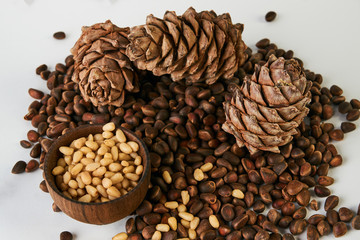 Wall Mural - Pine cones with ripe cedar pine nuts