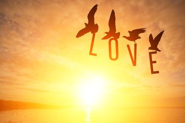 Fototapete - Silhouette Seagull bird holding LOVE text on Sunset background in Valentine's Day Concept