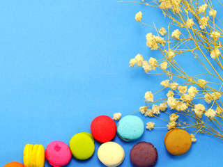 Wall Mural - french macaroons with dried flower and copy space background