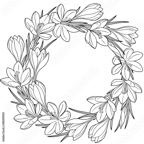 spring flower wreath of crocuses coloring book for adult