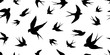 bird seagull Swallow pigeon vector Seamless Pattern isolated wallpaper background