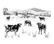 Milk farm VECTOR sketch, outline, rural landscape drawing.