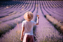 Young Woman Drink Rose Wine In The Sunset Lavender Field, Standing Back To The Camera, Provence, South France