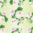 © zdenat5 - Seamless texture white rhododendron twig mountain shrub vintage vector illustration editable hand draw