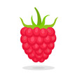 Sweet berry isolated on white background. Vector icons set. Illustration with raspberry