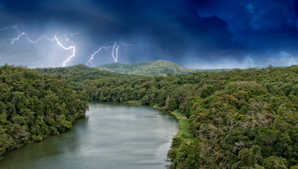 Poster - Rain Forest on the road to Kuranda