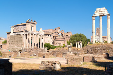 Canvas Print - Ruins of the ancient Roman Forum in Rome