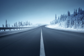 Wall Mural - road in winter forest