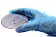 hand holds a silicon wafer for inspection on white background