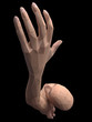 low poly human hand